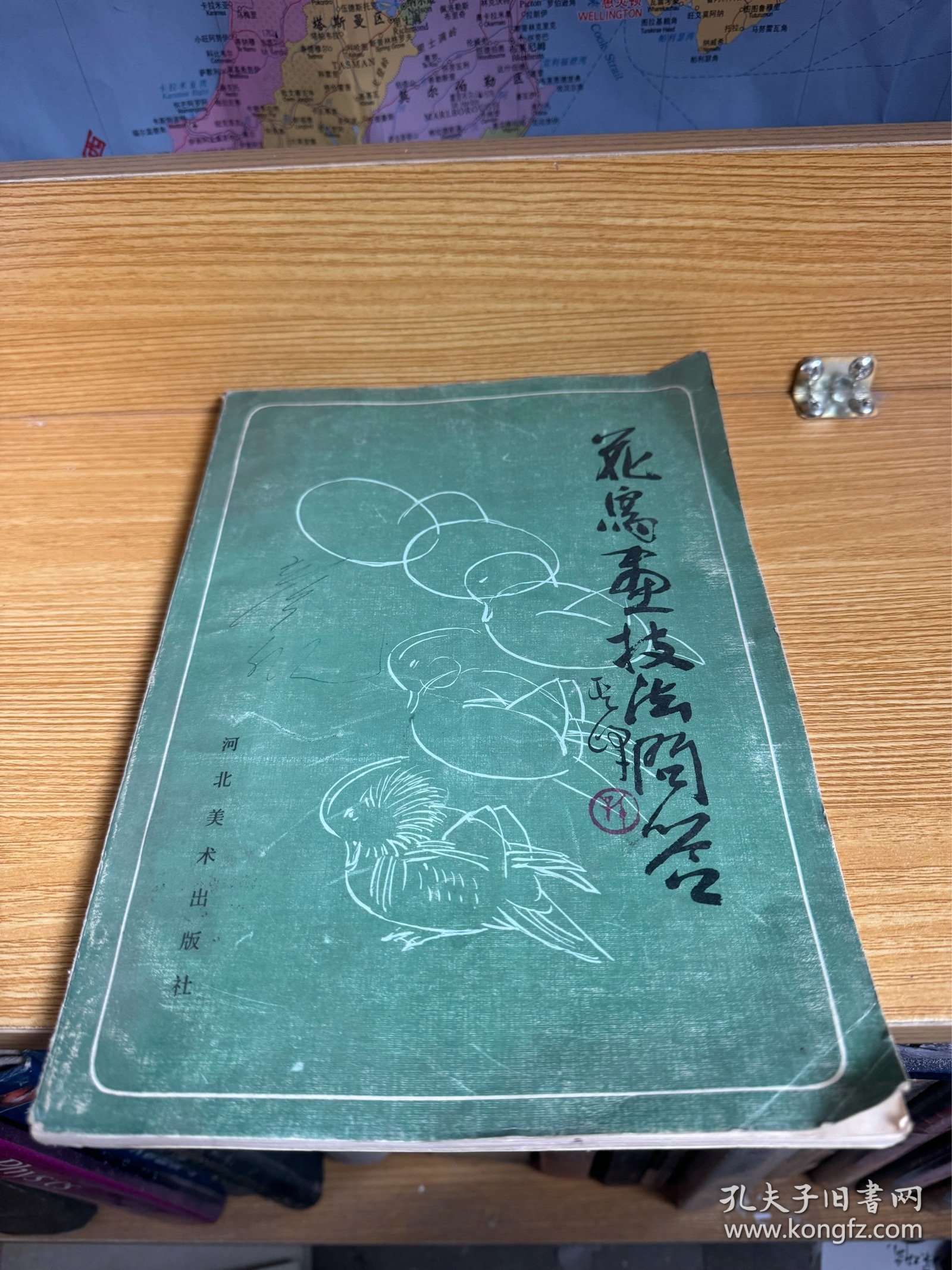花鸟鱼技法问答