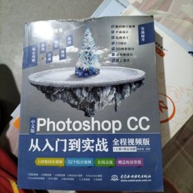 中文版Photoshop CC从入门到实战（全程视频版）（全两册）