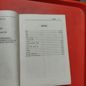 中国水名词典