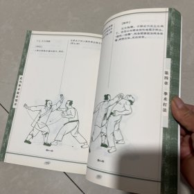 武当内家秘笈系列：武当拳术秘诀图说