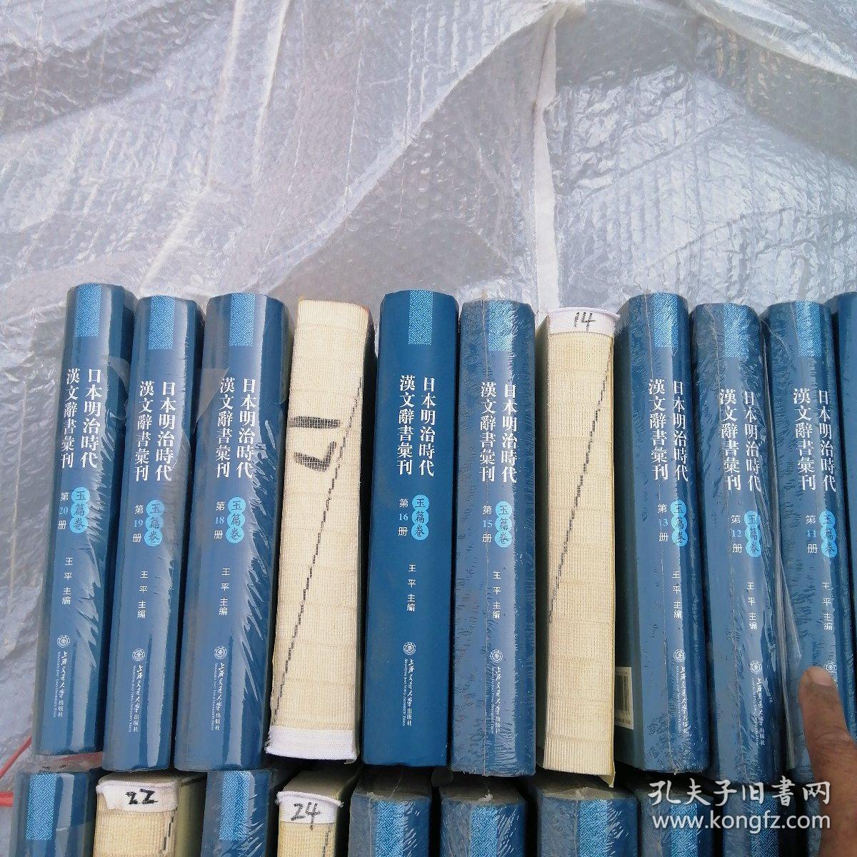 日本明治时代汉文辞书汇刊（玉篇卷 16开精装 全66册）其中有16册未装封面 品如图