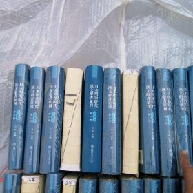 日本明治时代汉文辞书汇刊（玉篇卷 16开精装 全66册）其中有16册未装封面 品如图