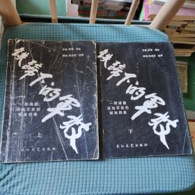 铁蹄下的军妓 上下册