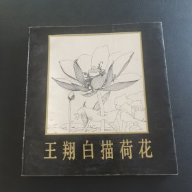 王翔白描荷花