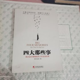 四大那些事：四大会计师事务所工作生活实录