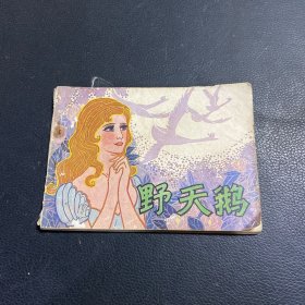 野天鹅 连环画