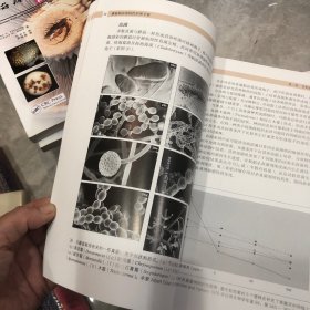 蘑菇病虫害防控彩图手册