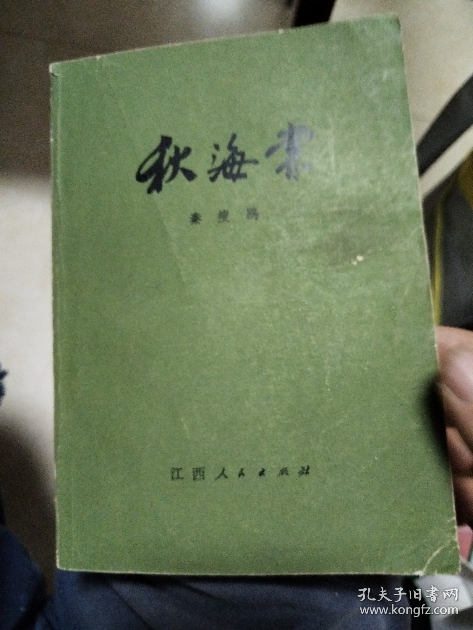秋海棠