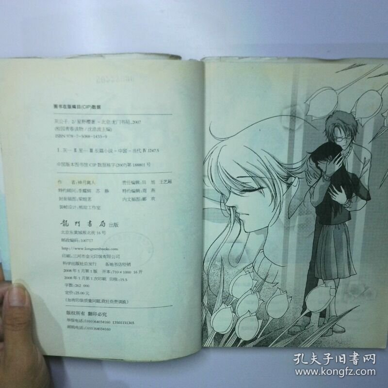 灰公子2 二手书实拍图