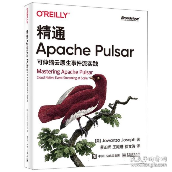 精通Apache Pulsar：可伸缩云原生事件流实践