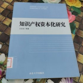 知识产权资本化研究 馆藏正版无笔迹