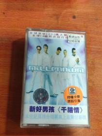 新好男孩.千禧情。