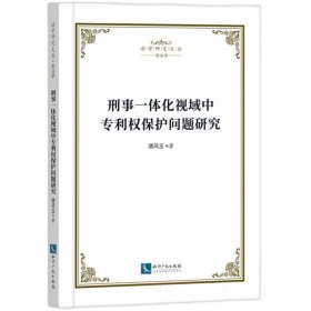 刑事一体化视域中专利权保护问题研究