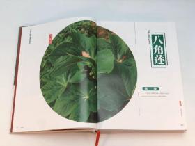 《中国珍稀药用植物图典》，肖培根等编著，全3册，大16开，铜版彩印，湖南科技出版社2020年一版一印。