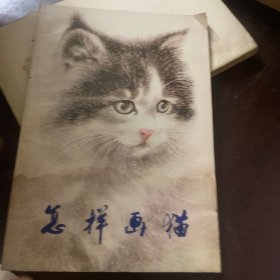 怎样画猫