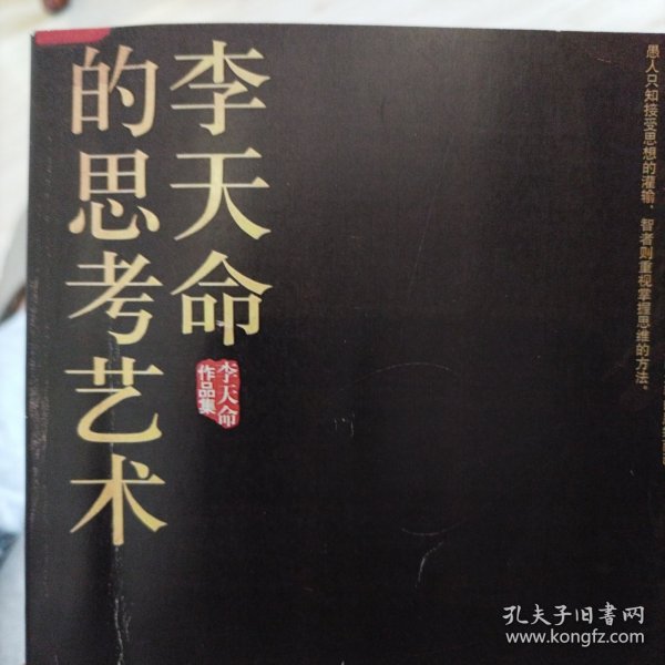 李天命的思考艺术：李天命作品集