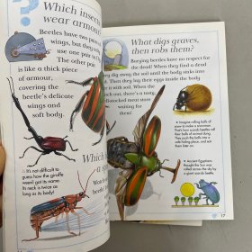 I Wonder Why英文版十万个为什么（3本合售）： Spiders spin webs、snakes shed their skin、Geese Go On Holiday