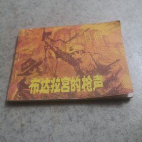 布达拉宫的枪声