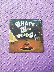 叮咚课堂 What's In The Woods?