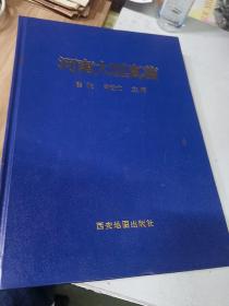 河南大型真菌【16开精装】.