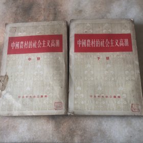 中国农村的社会主义高潮