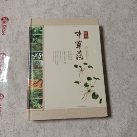 实用中草药
