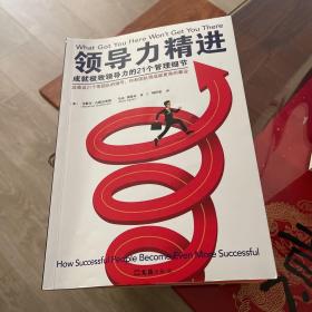 领导力精进：成就极致领导力的21个管理细节（改善这21个带团队的细节，你和团队将成就更高的事业！）