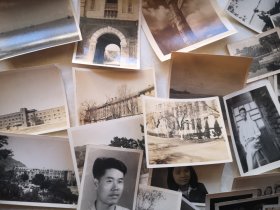 五十年代 毛主席 北大等家人照片几十张