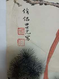 收的旧藏 田世光款手绘国画，画的很好，宣纸是自然氧化自然旧（可以和下面宣纸颜色对比）图物一致售后不退 不换，麻烦——下面有处小破损，装裱后可以密合。尺寸59乘42厘米。