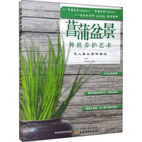 菖蒲盆景种植养护艺术：文人案头清供雅玩