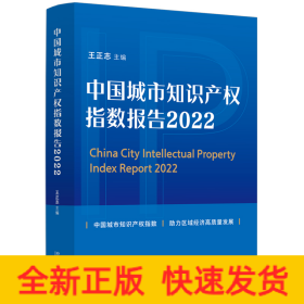 中国城市知识产权指数报告（2022）