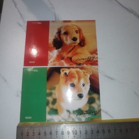 《任天堂，NDS，小狗》（明信片一对）