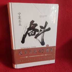 宁夏企业奋斗史