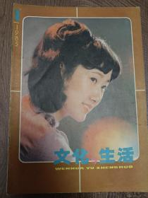 文化与生活 1985年  6本杂志合售