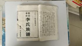 罕见竖版大16开《李台山李氏族谱》卷五，低价出售。