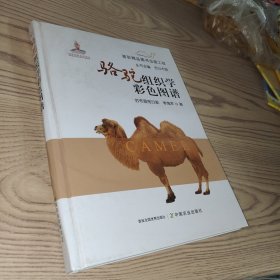 骆驼组织学彩色图谱