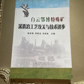 白云鄂博特殊礦采選冶工藝攻關(guān)與技術(shù)進(jìn)步