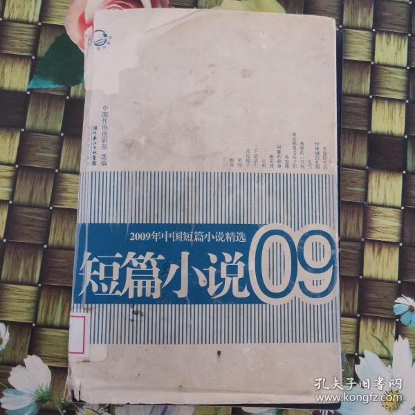 2009年中国短篇小说精选