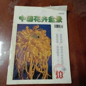 中国花卉盆景1998 10期