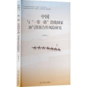 中国与“一带一路”沿线国家油气资源合作风险研究
