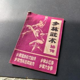 少林武术秘传