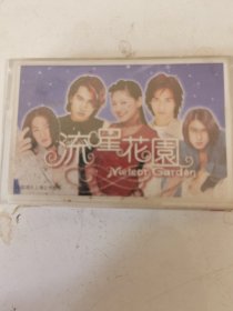 流星花园 磁带。购10盘以内多盘只收一次邮资6元