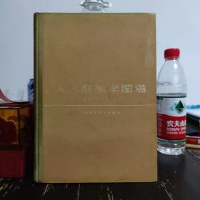 人体胚胎学图谱：中国人胚胎发生发育实例图解