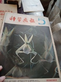 科学画报