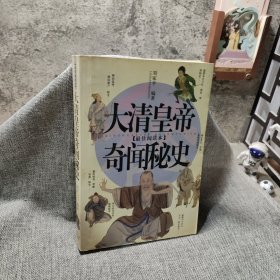 大清皇帝奇聞秘史