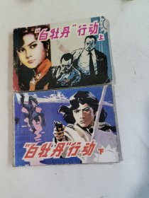 白牡丹行动 上下（连环画）