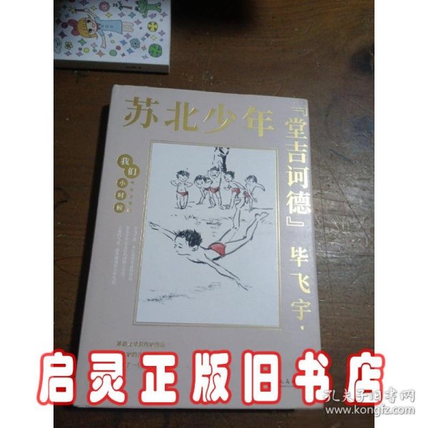 我们小时候：苏北少年“堂吉诃德”（茅盾文学奖得主毕飞宇童年回忆录，央视《读书》，人民日报，中国教育报推荐）（精装珍藏版）