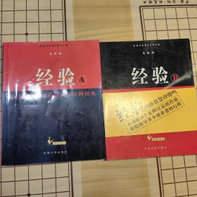 经验—中国市场著名品牌成功案例图典（A、B）两册