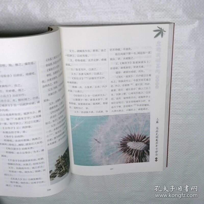 急症先驱葛洪奇方妙治