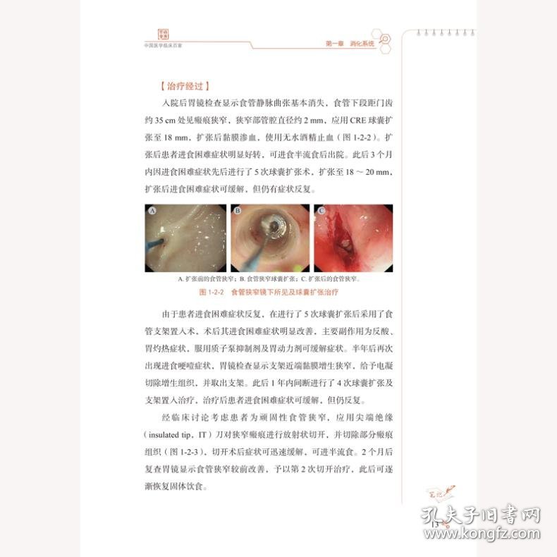 首都医科大学附属北京地坛医院感染性相关消化、呼吸系统疾病病例精解 金荣华总主编 9787523511763